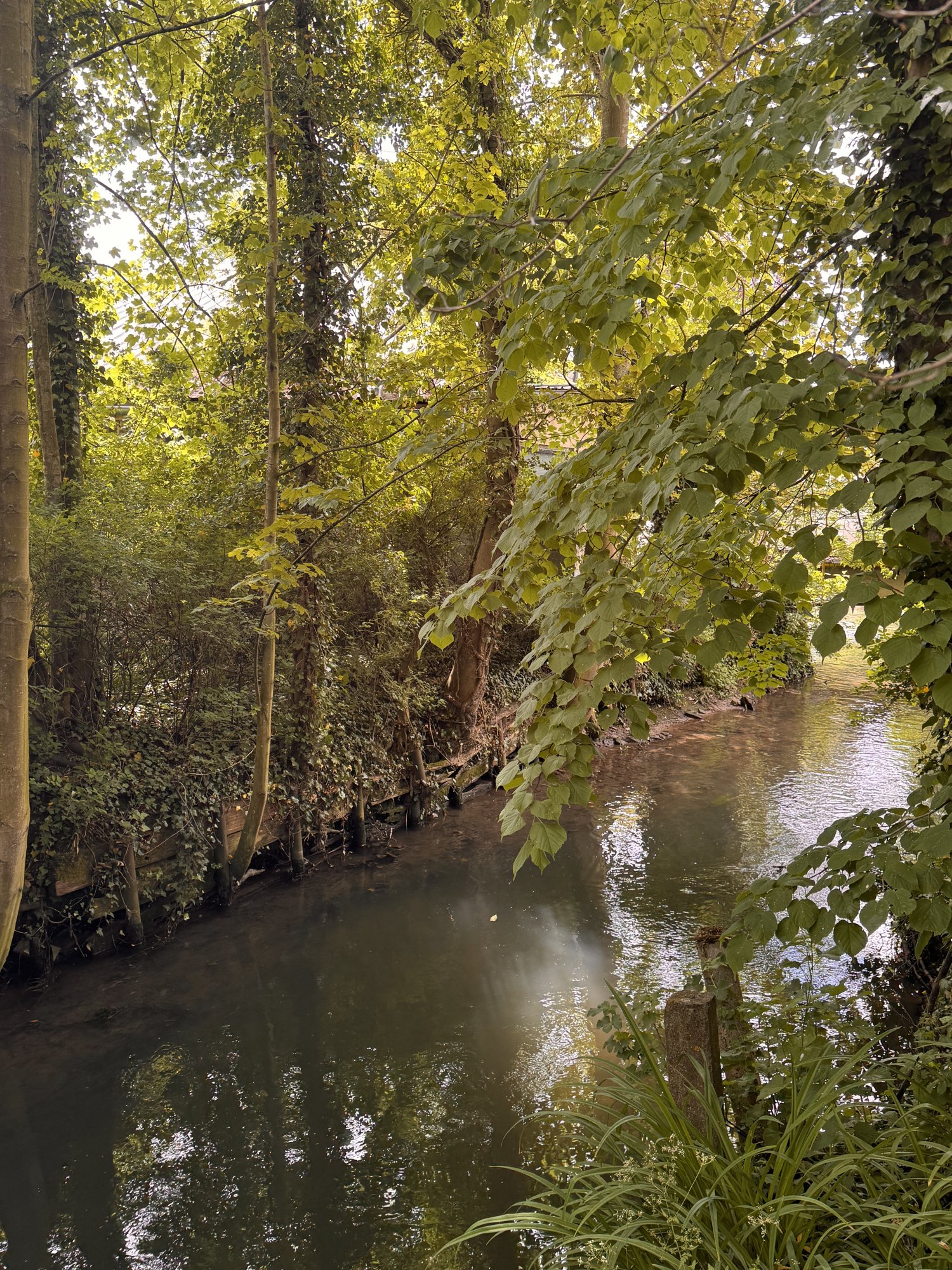 La Clarence aux abords du domaine